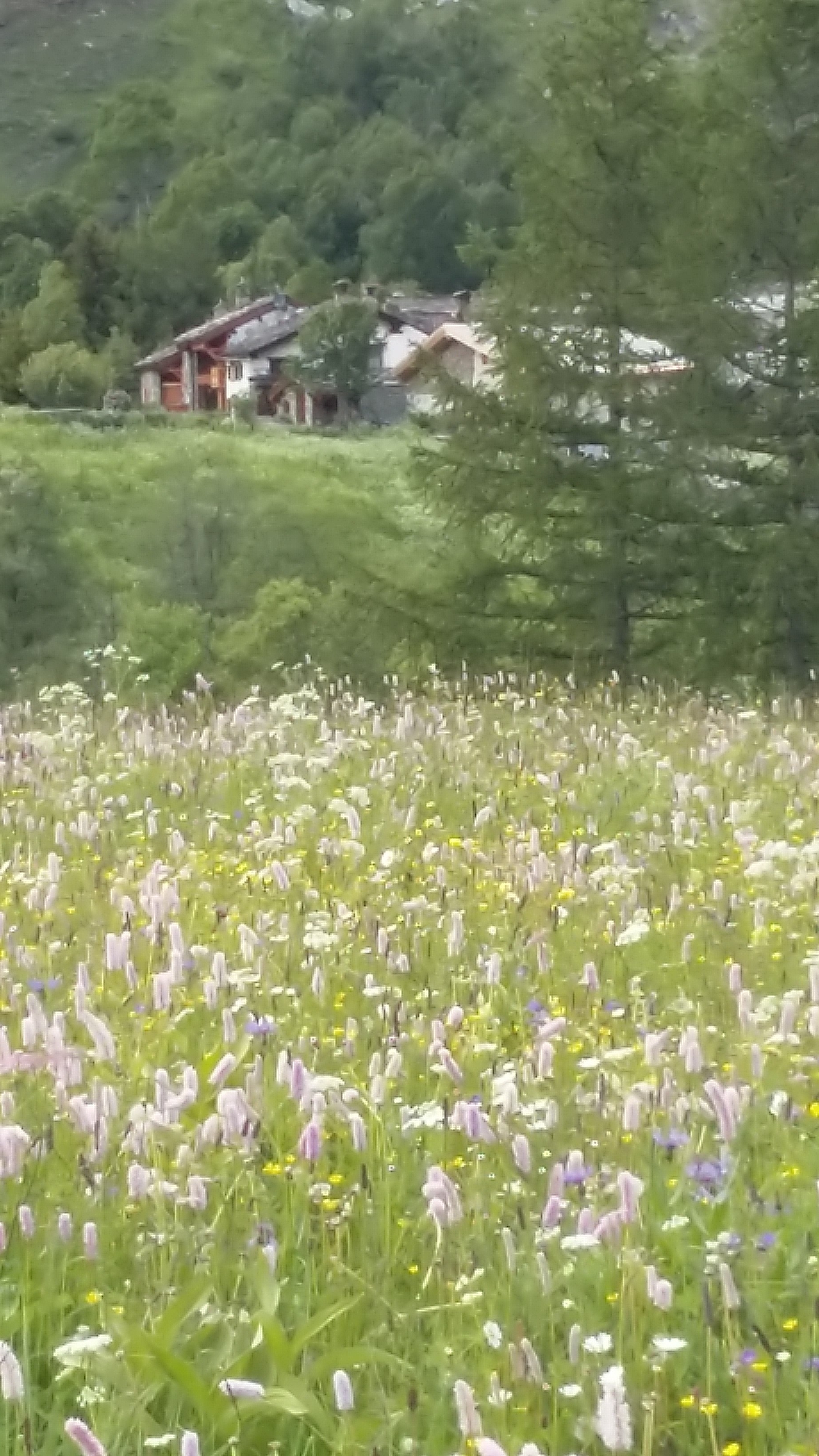 au printemps...