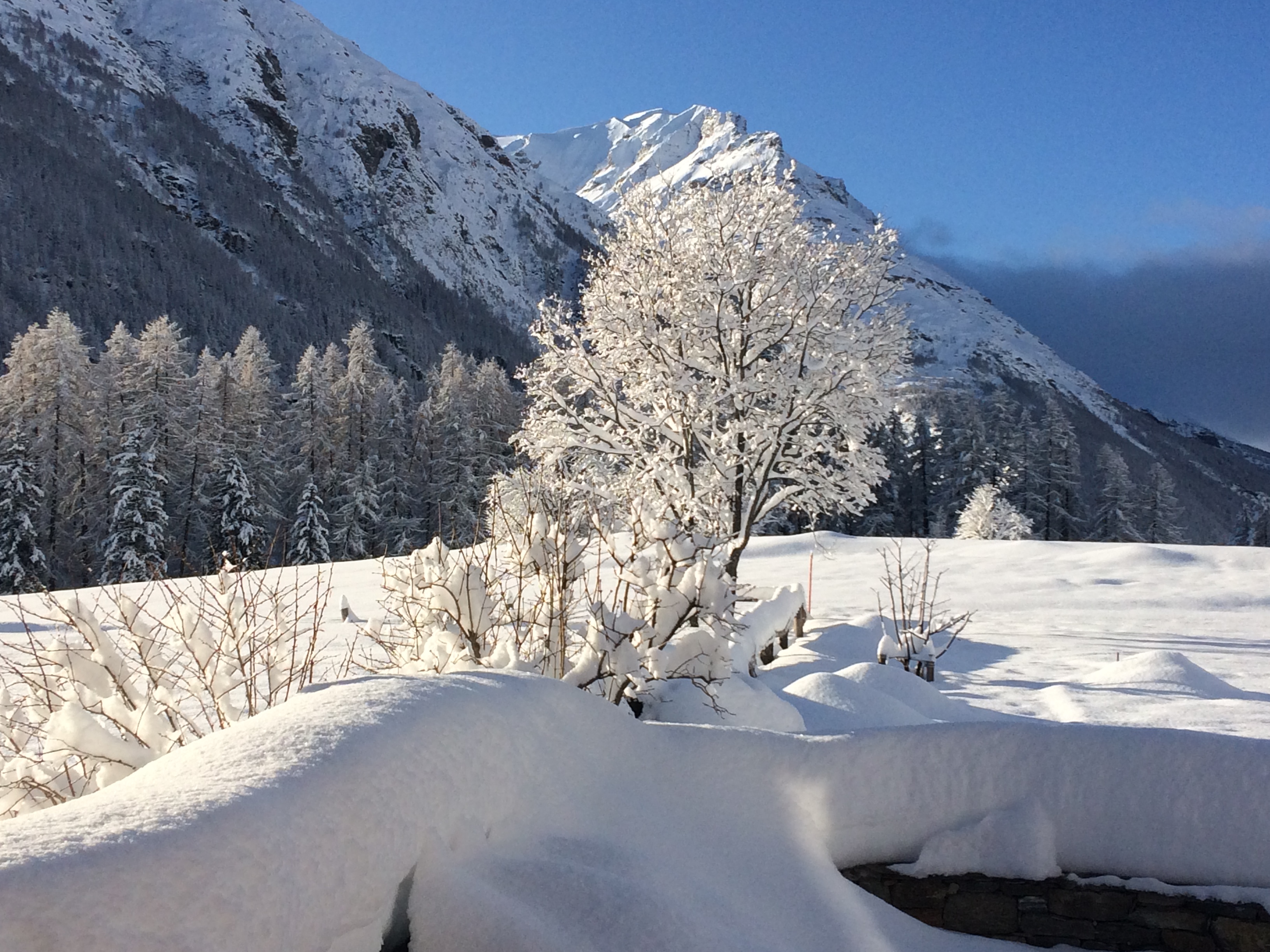 Aprés les premières chutes de neige ....