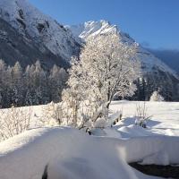 Aprés les premières chutes de neige ....